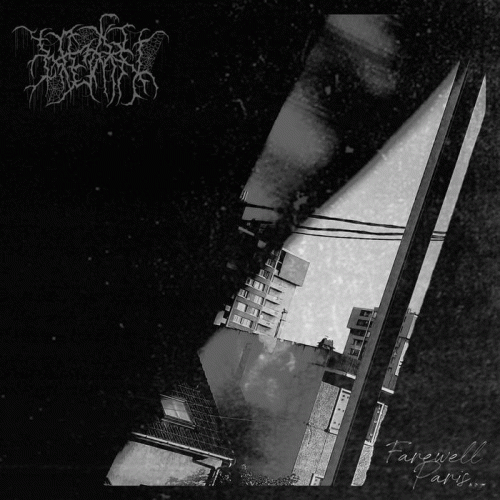 Nean : Farewell Paris... Nean : Farewell Paris...